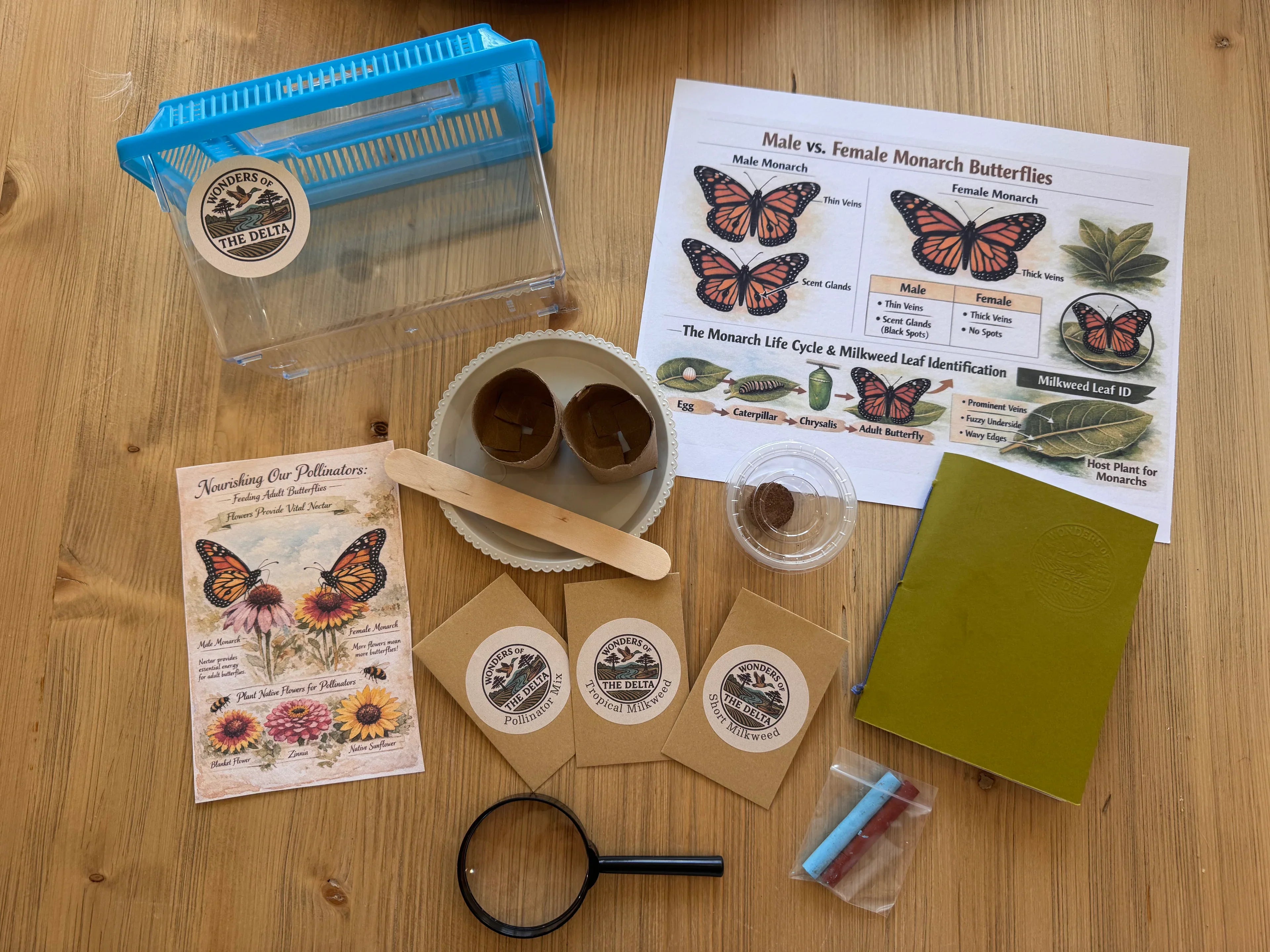 🐛 So You Bought the Kit… Now What?